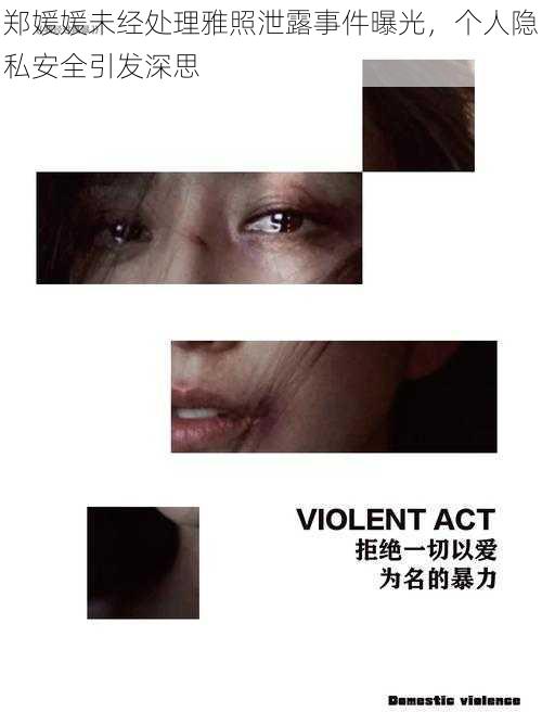 郑媛媛未经处理雅照泄露事件曝光,个人隐私安全引发深思