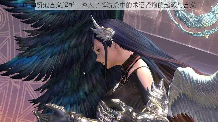 FF14贤炮含义解析:深入了解游戏中的术语贤炮的起源与含义