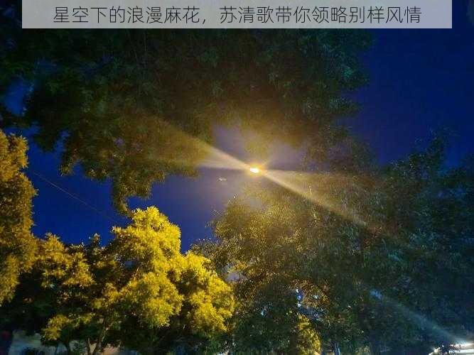 星空下的浪漫麻花,苏清歌带你领略别样风情
