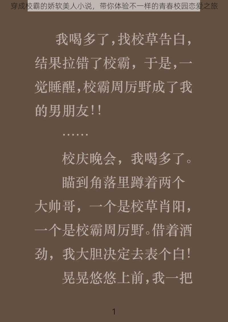 穿成校霸的娇软美人小说,带你体验不一样的青春校园恋爱之旅