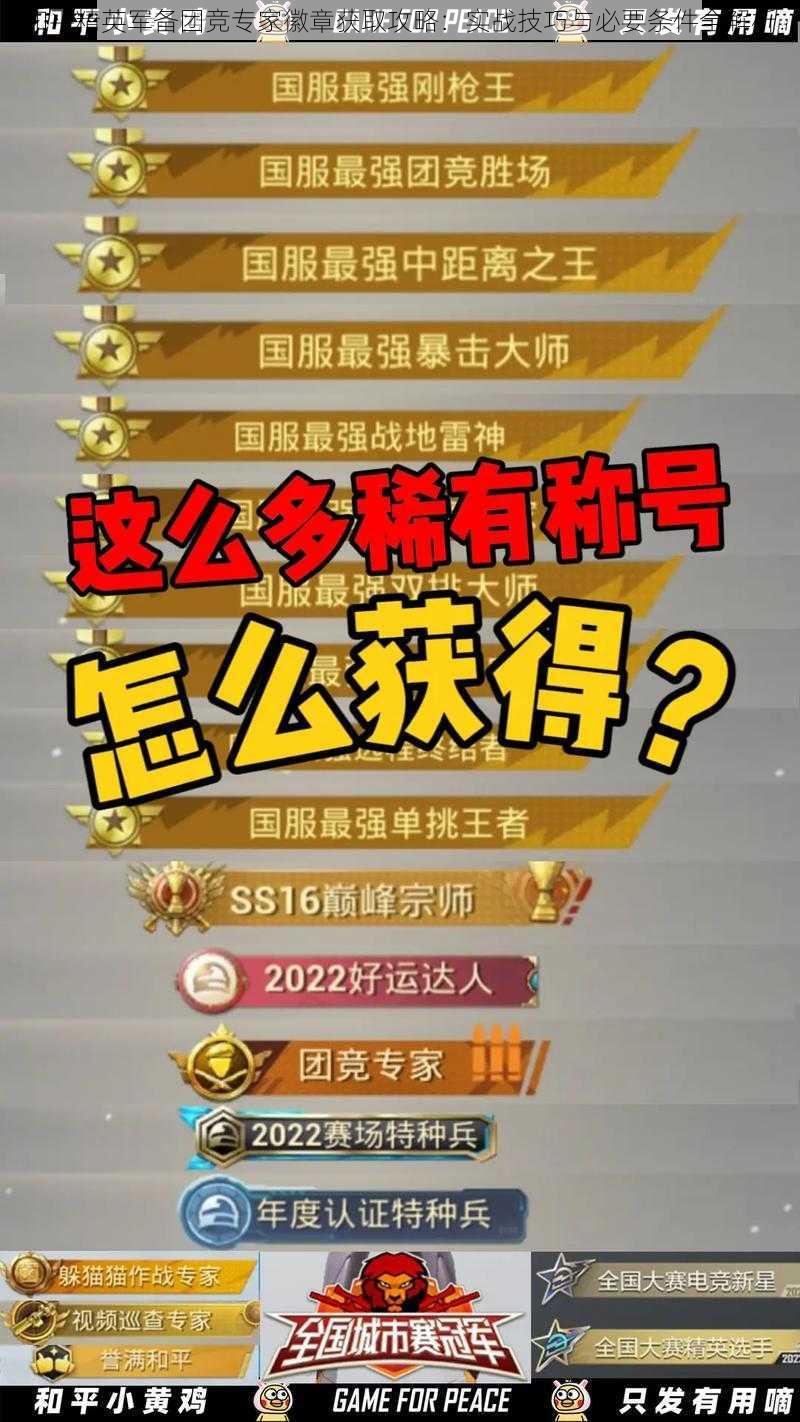 和平精英军备团竞专家徽章获取攻略:实战技巧与必要条件全解析