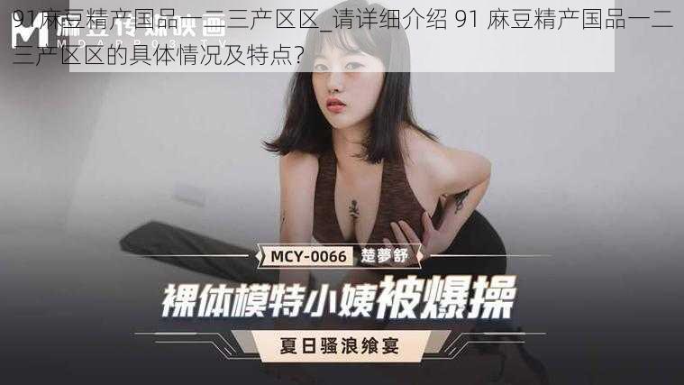 91麻豆精产国品一二三产区区_请详细介绍 91 麻豆精产国品一二三产区区的具体情况及特点?