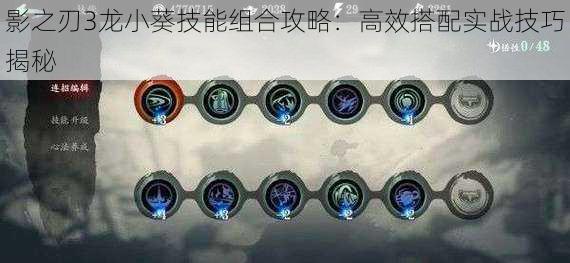 影之刃3龙小葵技能组合攻略:高效搭配实战技巧揭秘