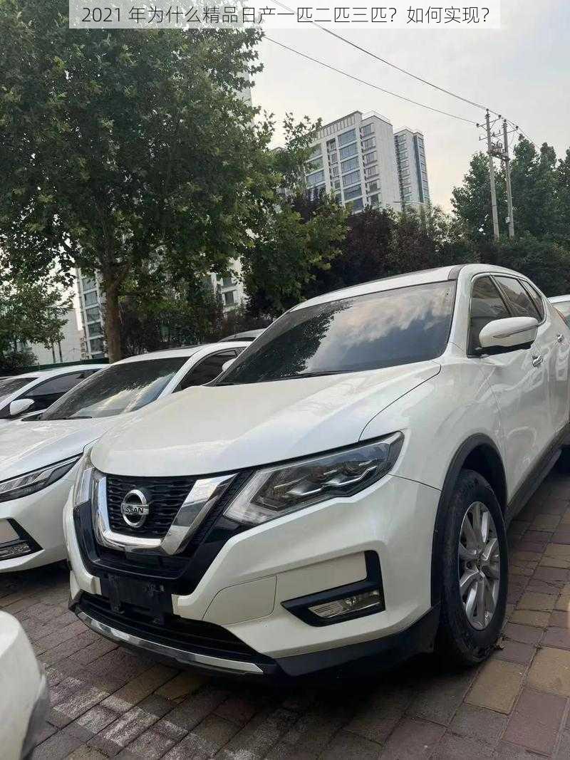 2021 年为什么精品日产一匹二匹三匹?如何实现?