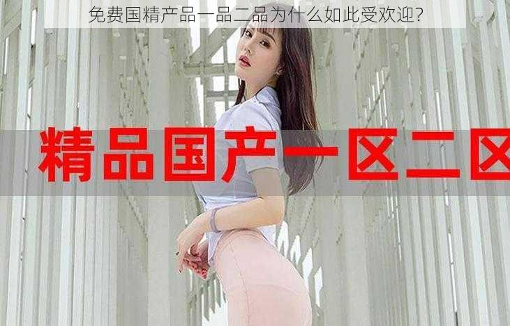 免费国精产品一品二品为什么如此受欢迎?